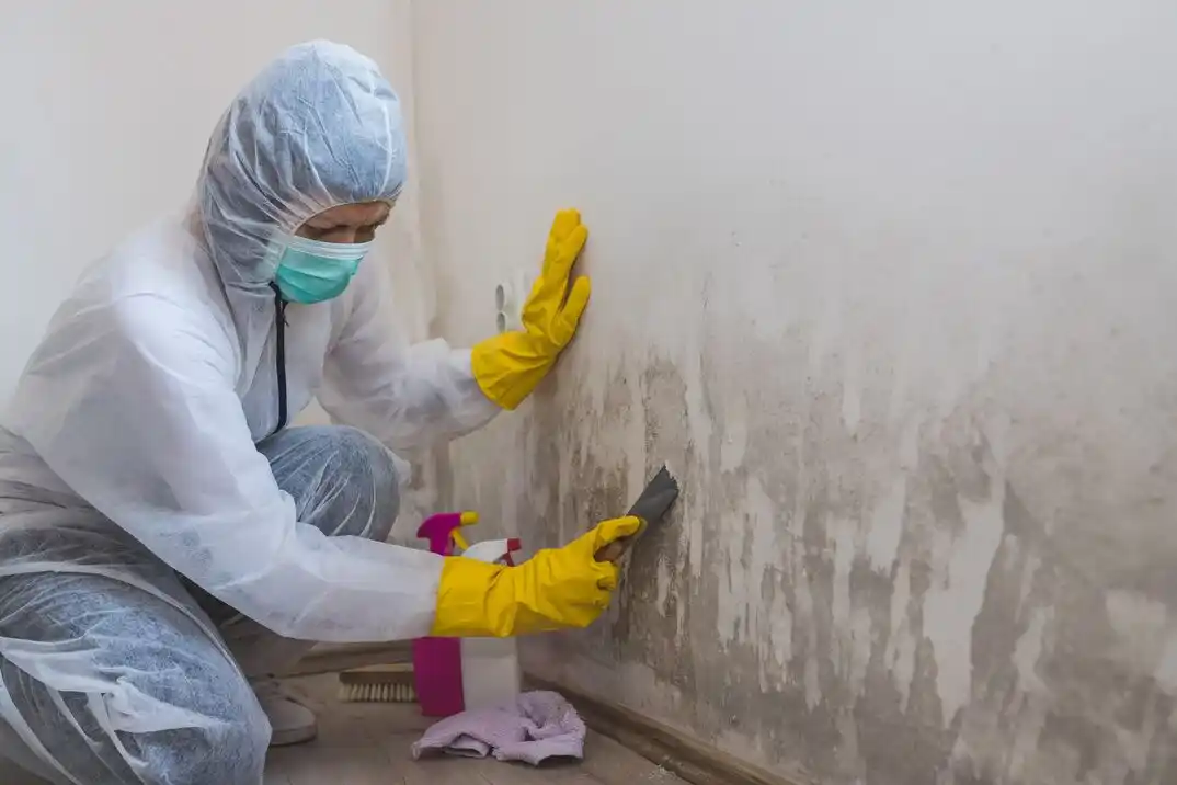 water damage restoration service Swisshelm Park